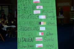 Fest-der-Nationen-16