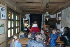 Fest-der-Nationen-20