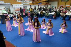 Fest-der-Nationen-25