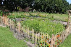 Bauerngarten-2
