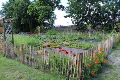 Bauerngarten-3