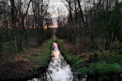 NATURSCHUTZGEBIET TATEMEER