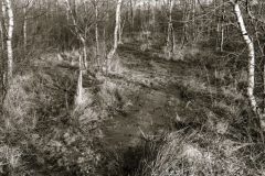 Gebiet-des-kleinen-Tatemeeres