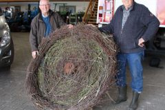 Storchennest