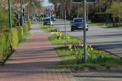 Obst-u.-Bluehwiesen-13