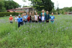 Obst-und-Bluehwiesen-14