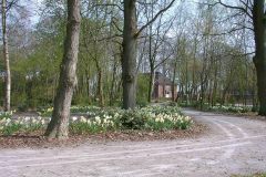Dorfpark