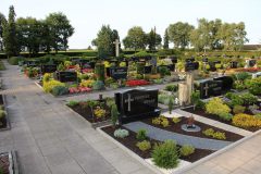Neuer-Friedhof-3