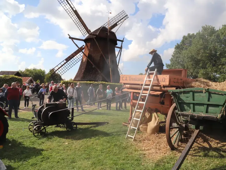 Bauern- und Handwerkermarkt begeistert mit Tradition und Kunst / Quelle:NWZ-Online